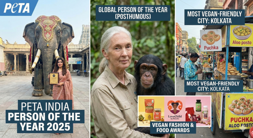PETA Awards 2025 Raveena Tandon Wins Big, Kolkata Named Most Vegan-Friendly City