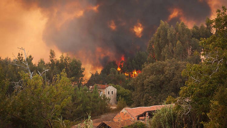 📝 UNEA Adopts India’s Resolution on Global Wildfire Management